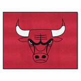 NBA - Chicago Bulls All-Star Mat