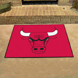 NBA - Chicago Bulls All-Star Mat