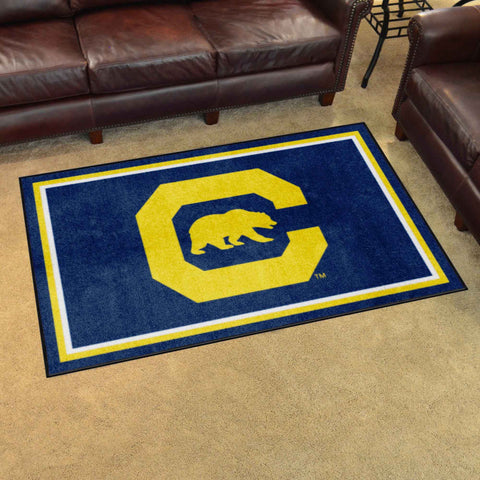 Univ of California Berkeley 4x6 Rug