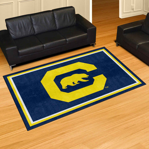 Univ of California Berkeley 5x8 Rug