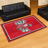 University of Wisconsin 5x8 Rug