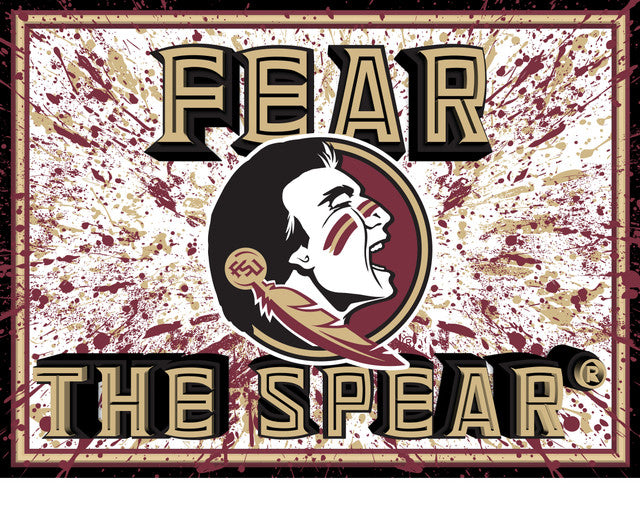 Florida State Seminoles 3D Art Print 12x16 Splatter