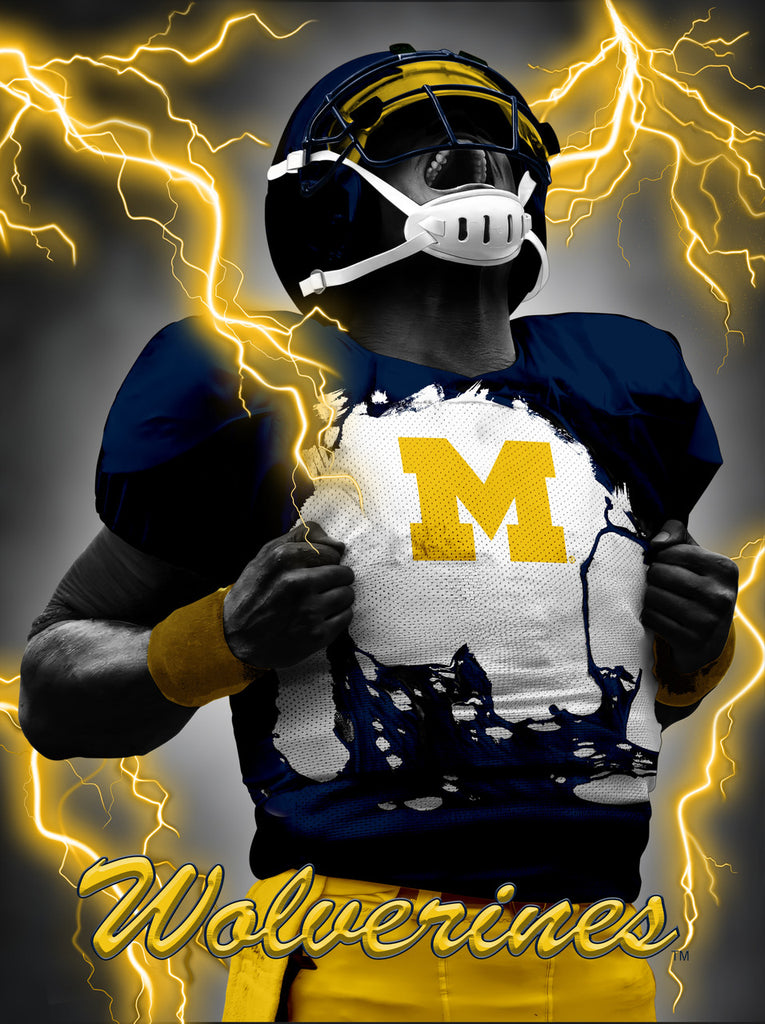 Michigan Wolverines 3D Art Print 12x16 Super Player