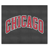 NBA - Chicago Bulls Tailgater Mat