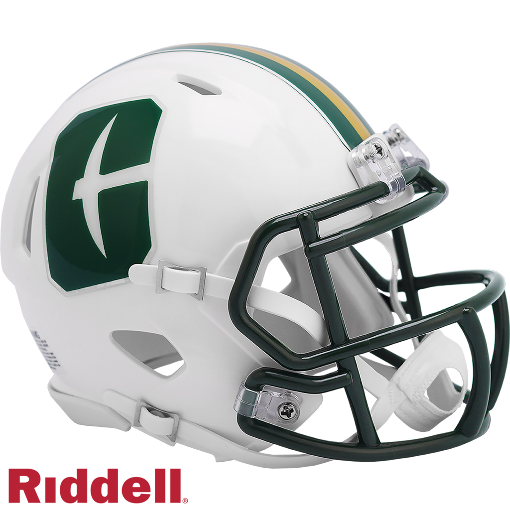 North Carolina Charlotte 49ers Helmet Riddell Replica Mini Speed Style